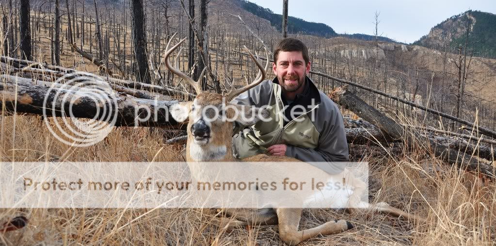 Black Hills Deer Hunt? 24hourcampfire